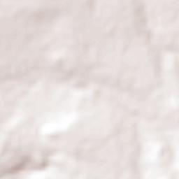 San Francisco Tlaltica Terrain Map