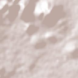 José María Morelos (San José) Terrain Map