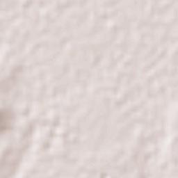 Santa Bárbara Terrain Map