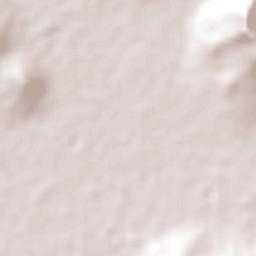 Unión Ejidal Tierra y Libertad Terrain Map