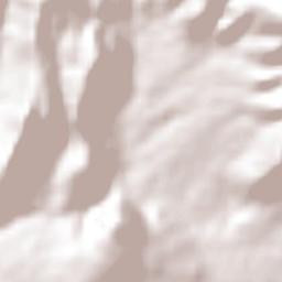 El Rosario Terrain Map