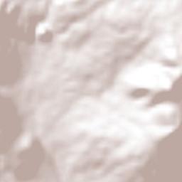 Acopinalco del Peñón Terrain Map