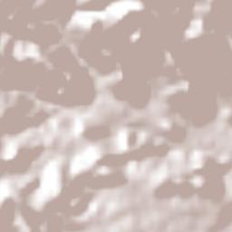 Tlacolulan Terrain Map