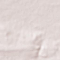 Pepillo Salcedo Terrain Map