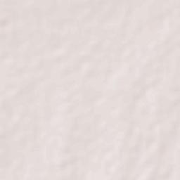 Astagaon Terrain Map