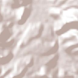 El Camichín Terrain Map