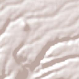 Cuauhtémoc Terrain Map