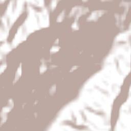 Zapotiltic Terrain Map