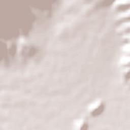 Santa Clara de Valladares Terrain Map