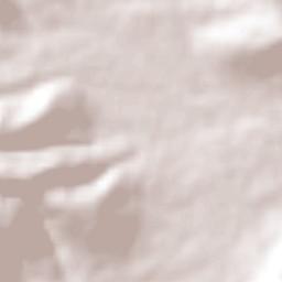 Guadalupe Buenavista Terrain Map