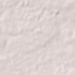 San Francisco de Guzmán Terrain Map