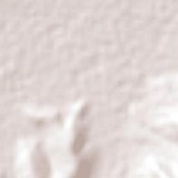 Ampliación San Mateo (Colonia Solidaridad) Terrain Map