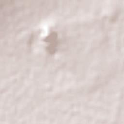 Tepexpan Terrain Map