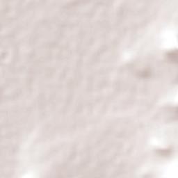 Acolman de Netzahualcóyotl Terrain Map