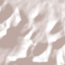 Santiago Tepetitlán Terrain Map