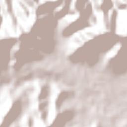 Temextla Terrain Map