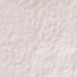 Centro de Readaptación Social Terrain Map