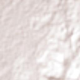 Cruz Blanca Terrain Map