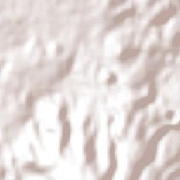 Las Vigas de Ramírez Terrain Map