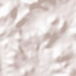 Narayanpur Terrain Map