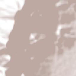 Francisco I. Madero Terrain Map