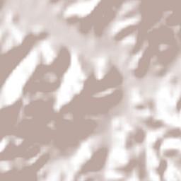 Hacienda Vieja Terrain Map