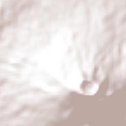 Los Limones Terrain Map