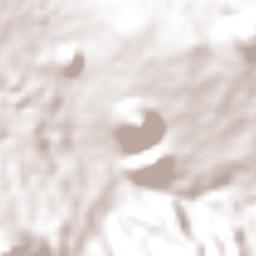 Turícuaro Terrain Map