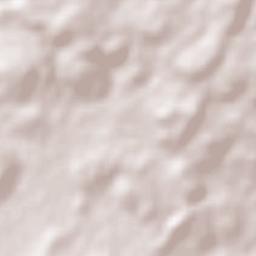 Lagunillas Terrain Map