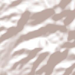 Ejido el Rosario Terrain Map