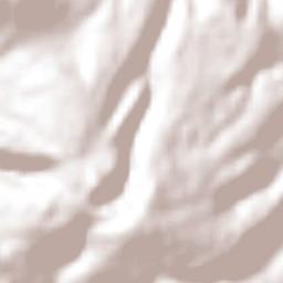 Santa Ana Nichi Ejido Terrain Map