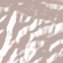 Ejido Palma (Ejido San Francisco) Terrain Map