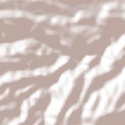 Ejido Miraflores Terrain Map