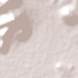 Concepción Jolalpan Terrain Map