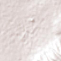 Los Molinos Terrain Map