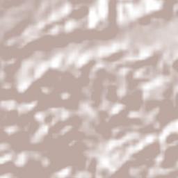 Tlalnelhuayocan Terrain Map