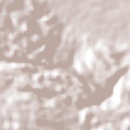 Chiltoyac Terrain Map