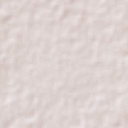 Felipe Carrillo Puerto Terrain Map