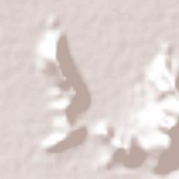 Ejido Modelo Terrain Map