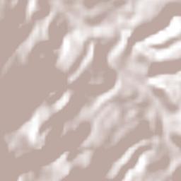 La Parota Terrain Map