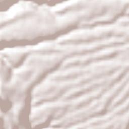 Tuxcacuesco Terrain Map