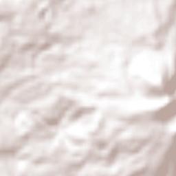 Palos Amarillos (Palos Amarillos Yebuciví) Terrain Map