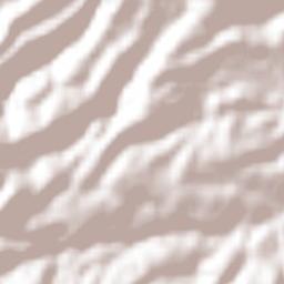 San Miguel Tecpan Terrain Map