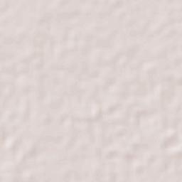 Zapotlán Terrain Map