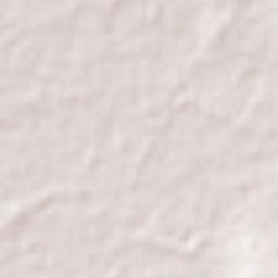 Tulantongo Terrain Map