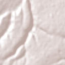 Francisco I. Madero Terrain Map