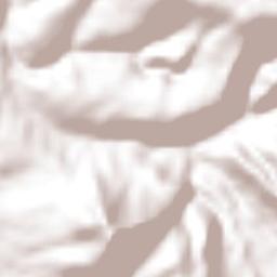 Emiliano Zapata Terrain Map