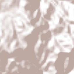 El Mirador Terrain Map