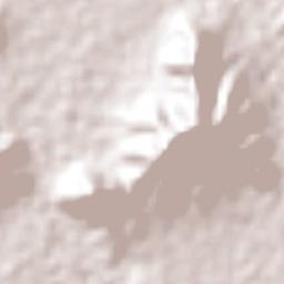 San Andrés Payuca Terrain Map