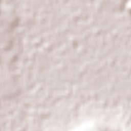 Guadalupe Sarabia Terrain Map